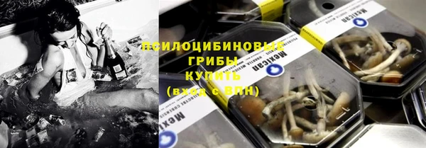 ГАЛЛЮЦИНОГЕННЫЕ ГРИБЫ Абдулино
